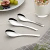Silver stainless steel spoons, simple household table spoons, tea spoons and coffee spoons tableware set details Picture